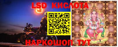 стафф Бугуруслан