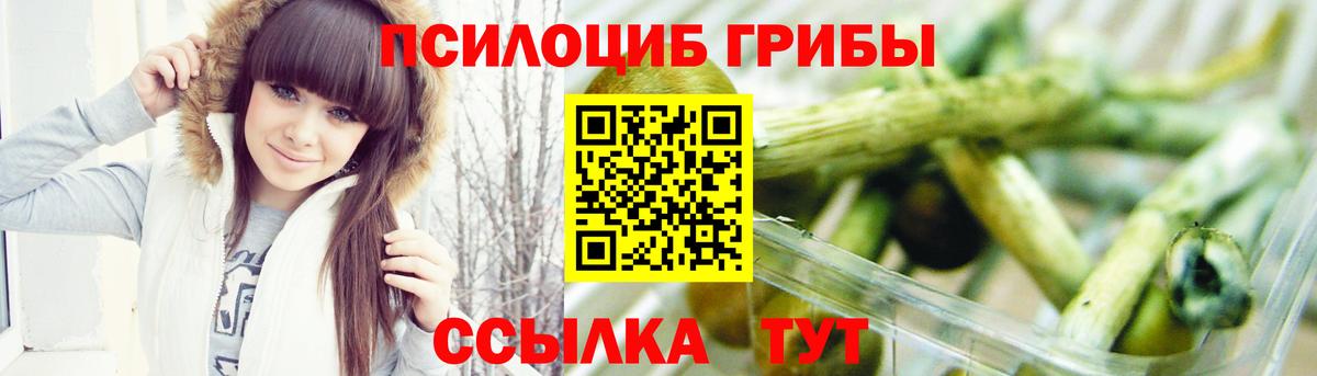 Галлюциногенные грибы Psilocybine cubensis  Вход с VPN  Галлюциногенные грибы MAGIC MUSHROOMS  Старый Оскол 